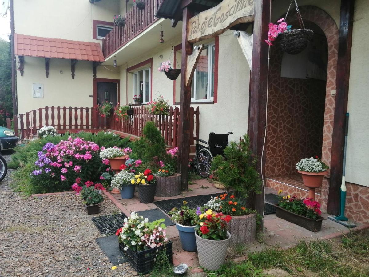 Appartement Jasionka à Ustrzyki Dolne Extérieur photo
